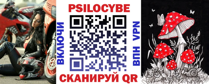 Галлюциногенные грибы Psilocybine cubensis  Межгорье 