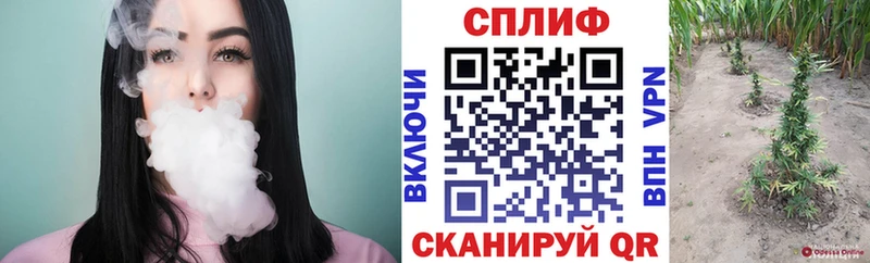 маркетплейс наркотические препараты  Межгорье  Шишки марихуана OG Kush 